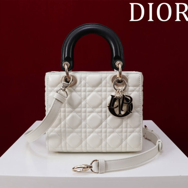 Lady Dior Compartment Bag (حقيبة ليدي ديور مقصورات)