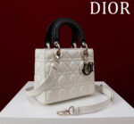 Lady Dior Compartment Bag (حقيبة ليدي ديور مقصورات) - Image 6