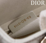 Lady Dior Compartment Bag (حقيبة ليدي ديور مقصورات) - Image 7