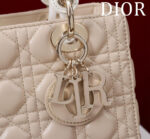 Lady D Compartment Bag (حقيبة ليدي دي مقصورات) - Image 9