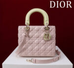 Lady DCompartment Bag (حقيبة ليدي دي مقصورات)