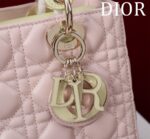Lady DCompartment Bag (حقيبة ليدي دي مقصورات) - Image 9