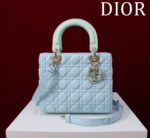 Lady D Compartment Bag (حقيبة ليدي دي مقصورات)