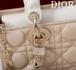 Lady Joy Horizontal Bag (حقيبة ليدي جوي الأفقية) - Image 7