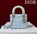 Lady D Compartment Bag (حقيبة ليدي دي مقصورات)