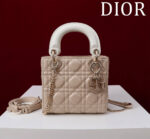 Lady Dior Compartment Bag (حقيبة ليدي ديور مقصورات)