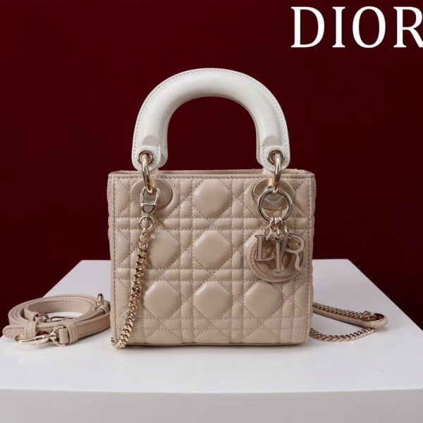 Lady Dior Compartment Bag (حقيبة ليدي ديور مقصورات)