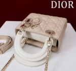Lady Dior Compartment Bag (حقيبة ليدي ديور مقصورات) - Image 2