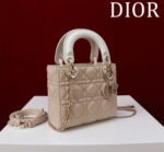 Lady Dior Compartment Bag (حقيبة ليدي ديور مقصورات) - Image 3