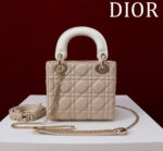 Lady Dior Compartment Bag (حقيبة ليدي ديور مقصورات) - Image 4