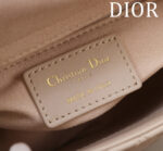 Lady Dior Compartment Bag (حقيبة ليدي ديور مقصورات) - Image 9