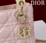 Lady D Compartment Bag (حقيبة ليدي دي مقصورات) - Image 8