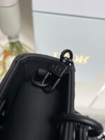 Lady D-Joy Mini Bag (حقيبة ليدي دي-جوي ميني) - Image 2