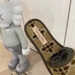 D Monogram Slipper ( حذاء دي مونوغرام سليبر ) - Image 7