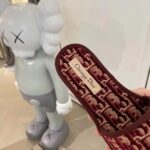 D Monogram Slipper ( حذاء دي مونوغرام سليبر ) - Image 3
