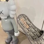 D Monogram Slipper ( حذاء دي مونوغرام سليبر ) - Image 2